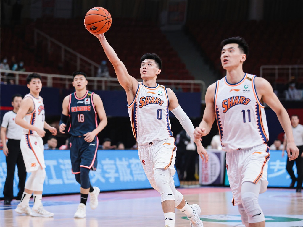 合理的申请